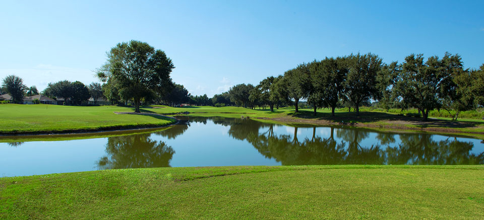 Monarch Golf Club Picture
